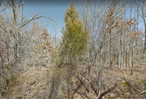 Lot 7 Kilbernie Lane