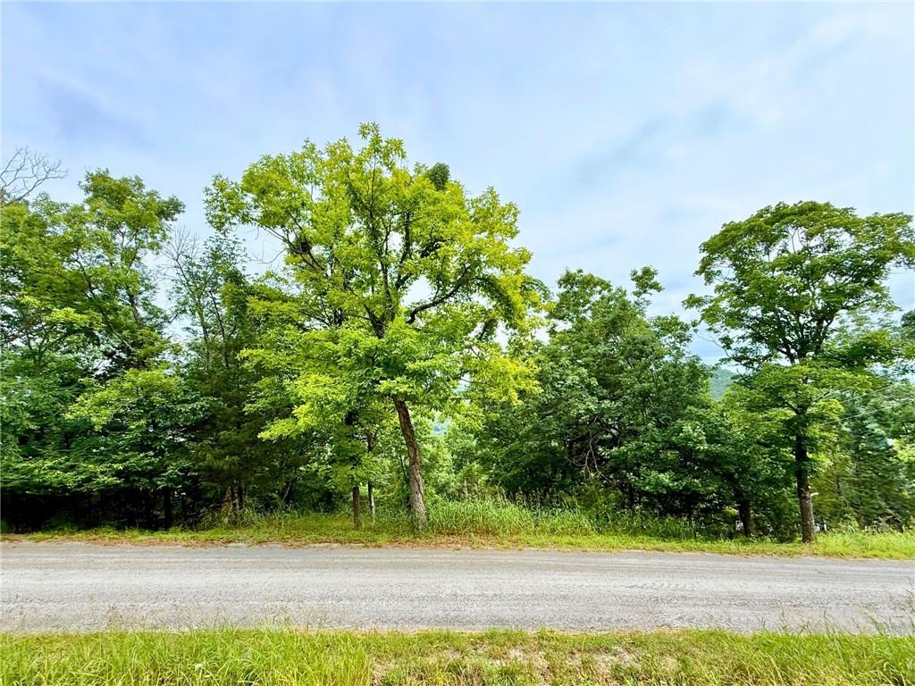 Image 1: Street view of the premium buildable lot on Beaver