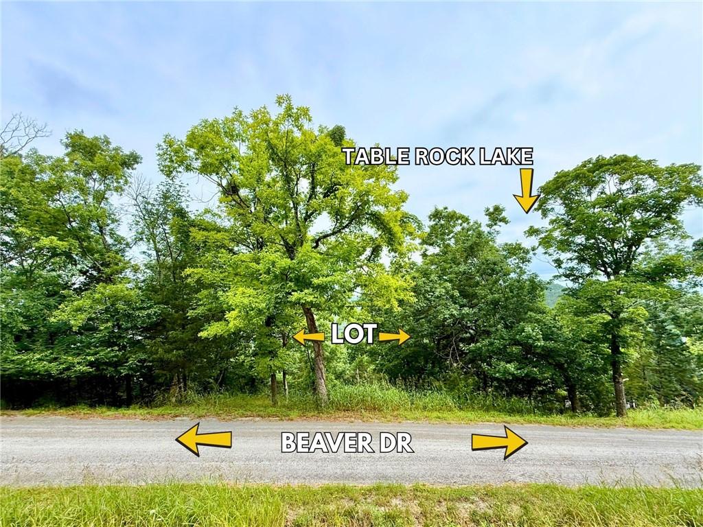 Image 2: Looking across the property lines on Beaver Dr. St