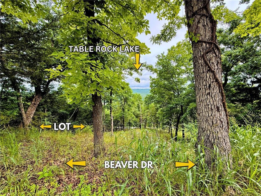 Image 4: Scenic seasonal view looking toward Table Rock Lak