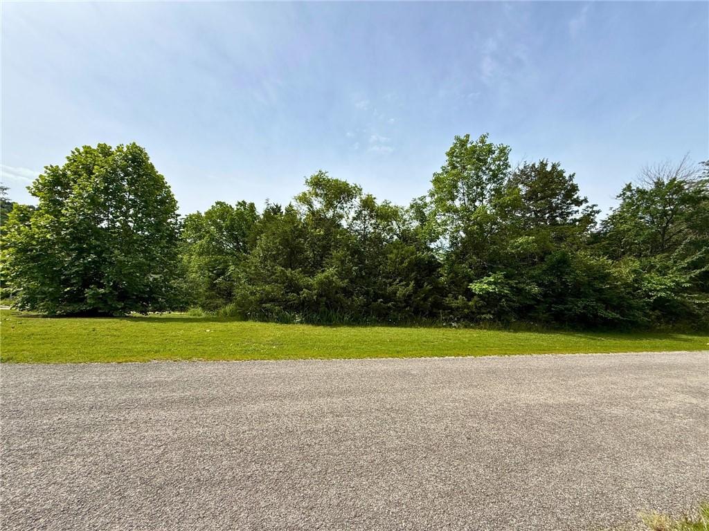 Image 1: Street view of the premium, level corner lot on Le