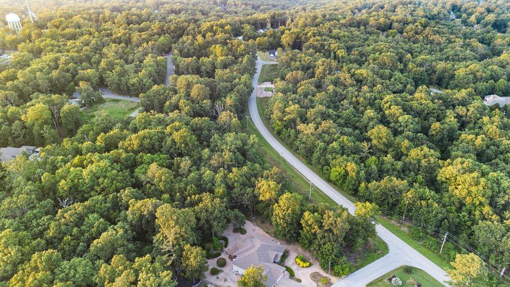 Image 3: Extensive wooded acreage with established roads an