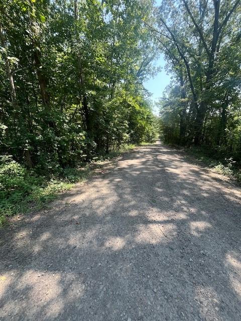 Image 2: Facing south on Brock Creek Rd at gate
