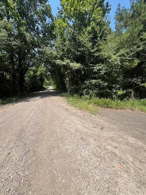 Image 3: Facing north on Brock Creek Rd at gate