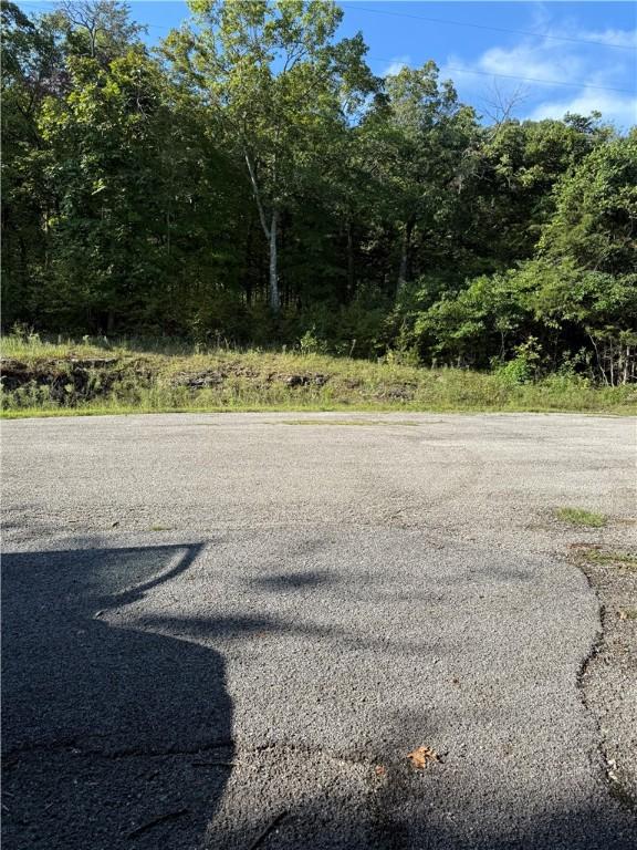Image 2: Road looking to the West
