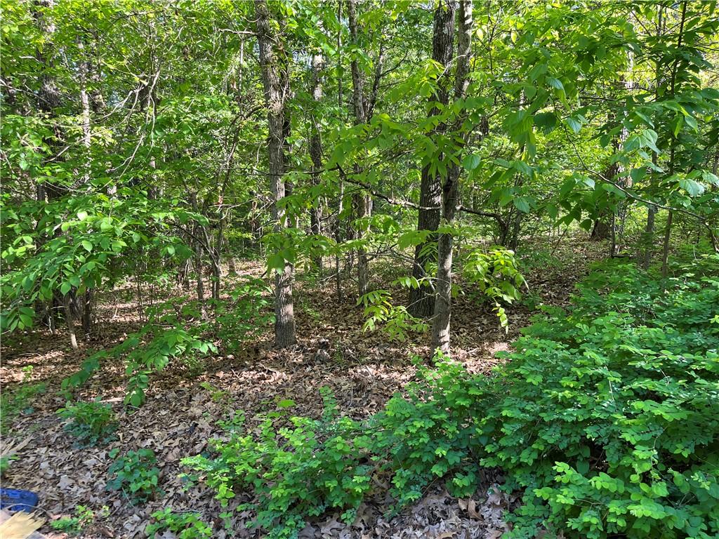 Image 2: Lot .32-acres with slight right to left slope, al