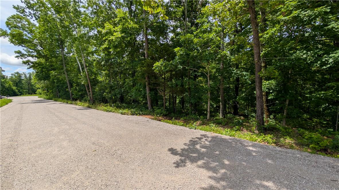 Image 2: Gravel road bordered by a dense treeline and natur