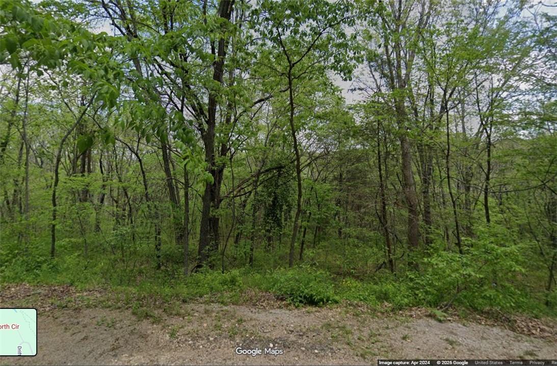 Image 3: Street view Spring