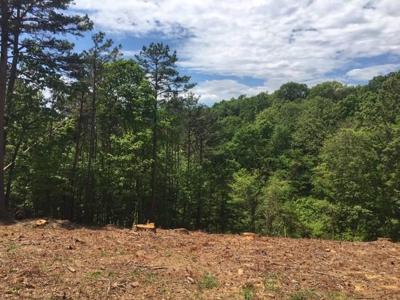 Lot 962 Spruce Drive