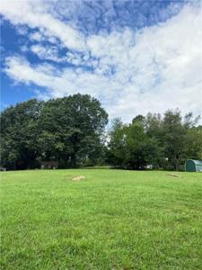 Lot 4 Joy Loop