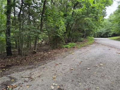 Lot 59 W Airport Drive