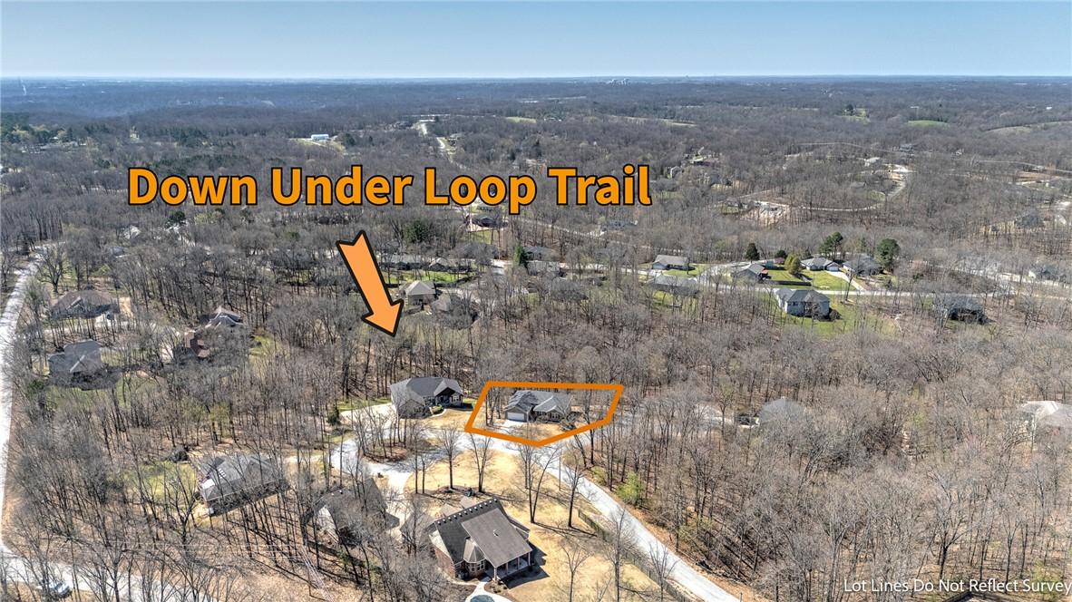 Image 2: Aerial view of a forest