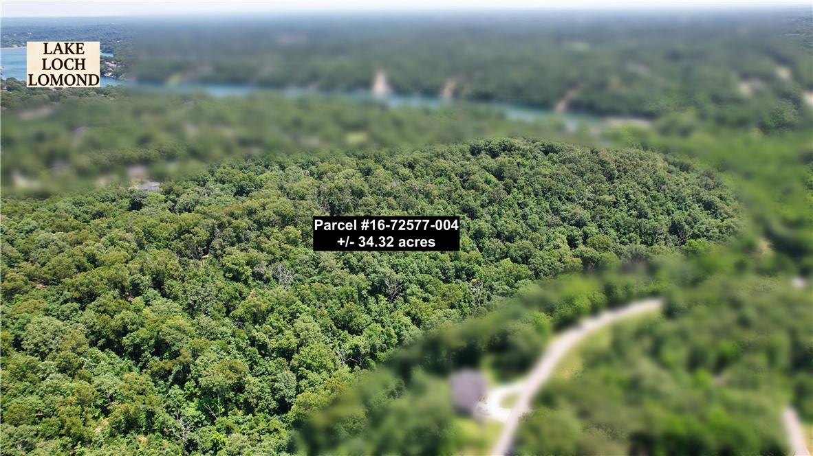 Image 4: Extensive wooded parcel totaling approximately 34.