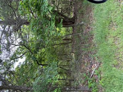 Lot 67 Rocky Ridge Place
