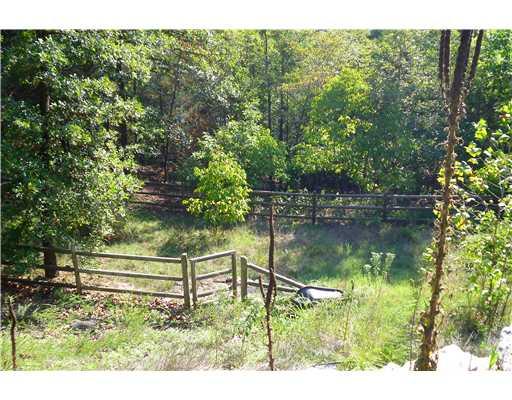 Image 4: Exterior Back. Fenced in garden area.  At  one tim