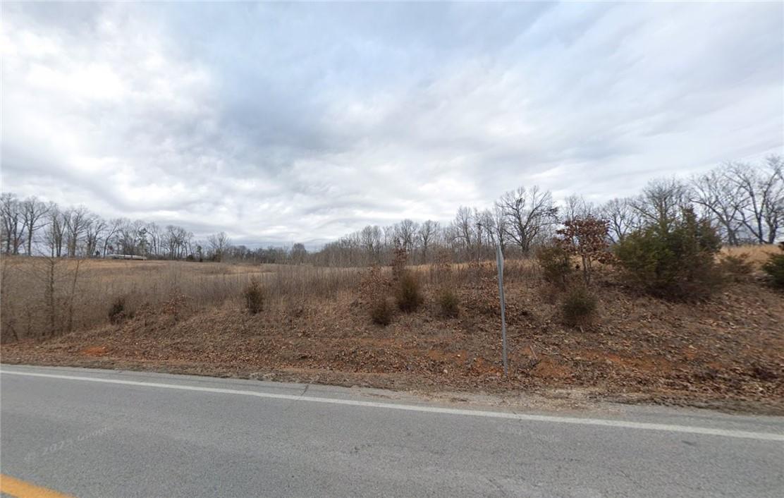 Image 2: Expansive undeveloped land featuring a paved road