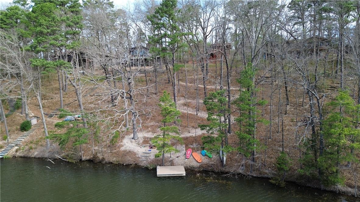 Image 2: Bird's eye view of a tree filled landscape and a l