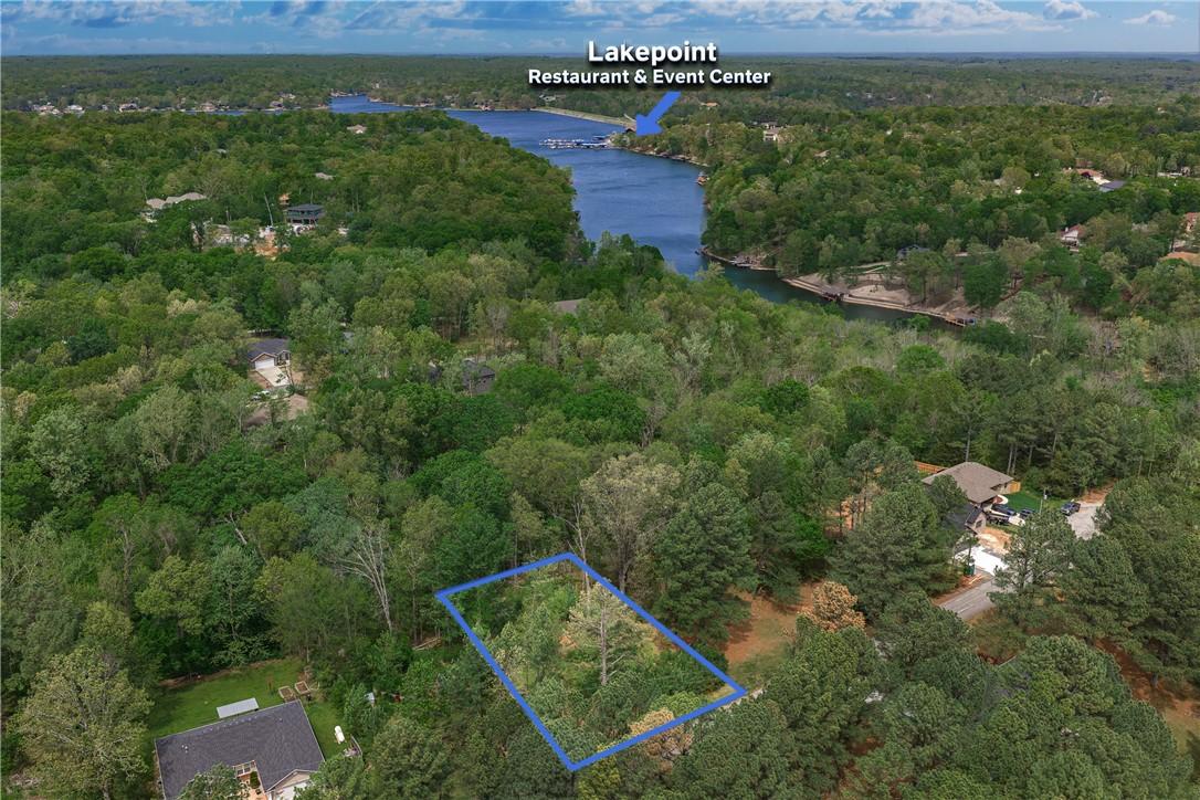 Image 2: Wooded parcel with visible property boundaries