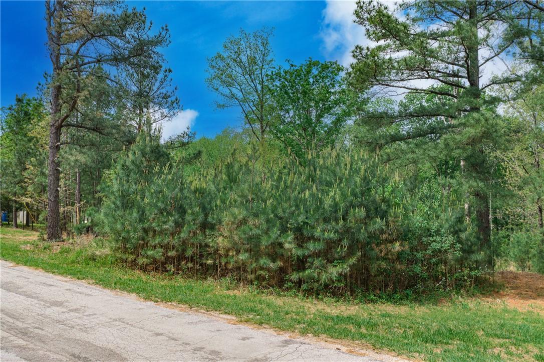 Image 3: Wooded parcel featuring mature evergreen trees and