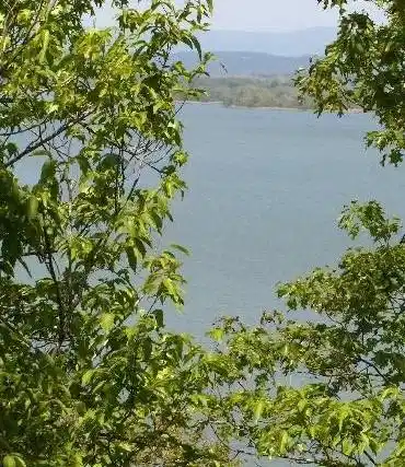 Image 1: Waterfront setting with mature trees and distant m