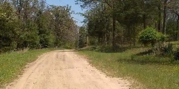 Image 4: Image quality insufficient for description
