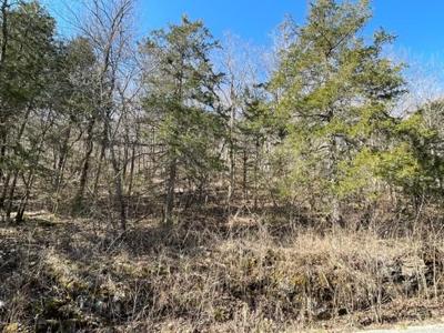 135 Wild Turkey Drive