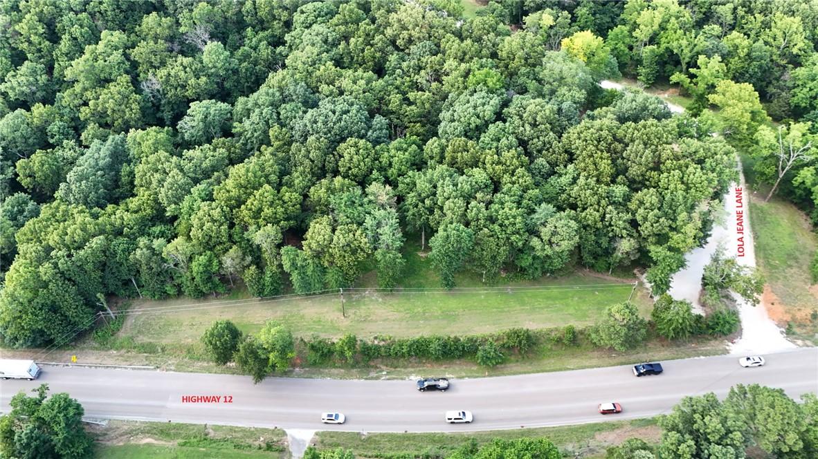Image 3: Expansive wooded lot with direct frontage on Highw