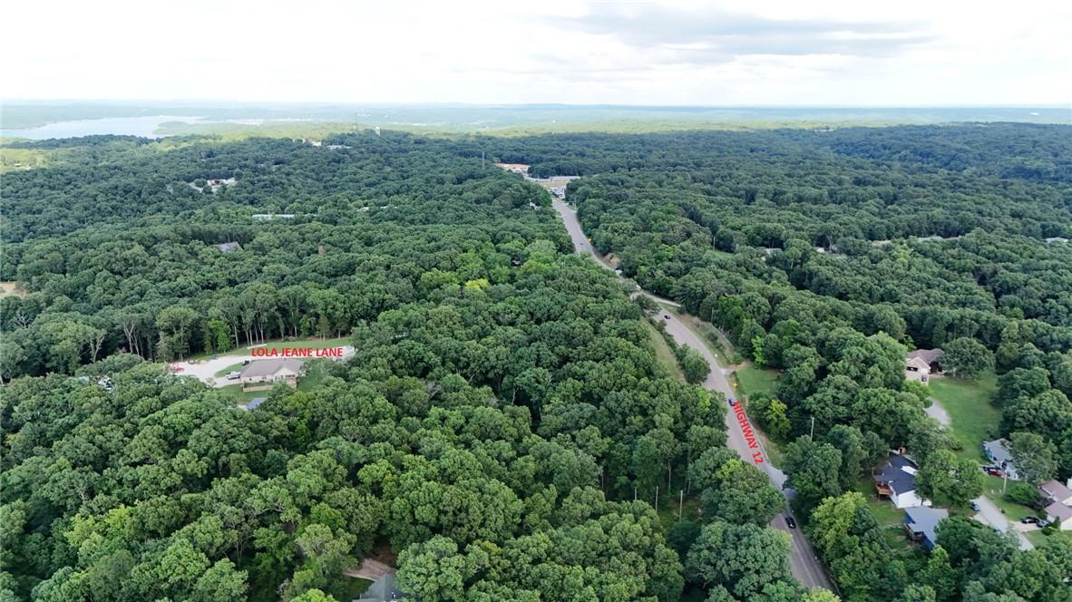 Image 4: Hwy 12 and Beaver Lake in the background.
