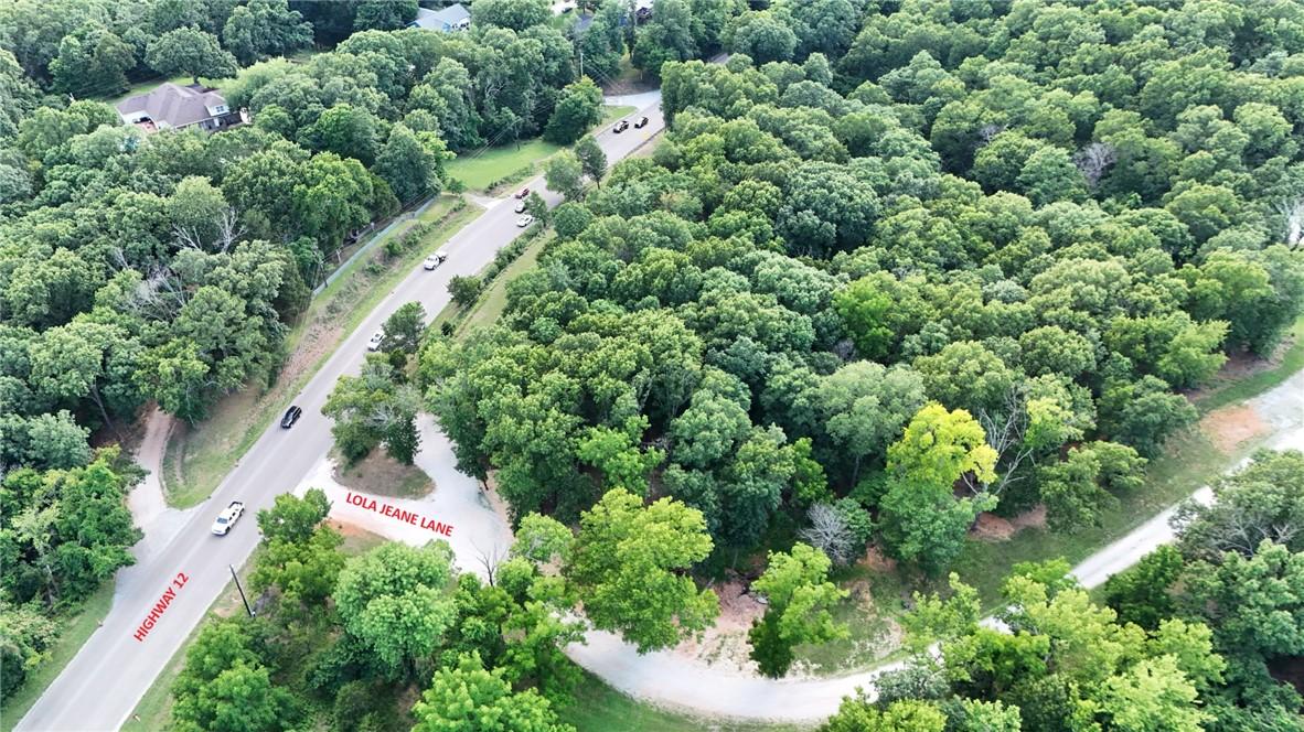 Image 2: Aerial perspective