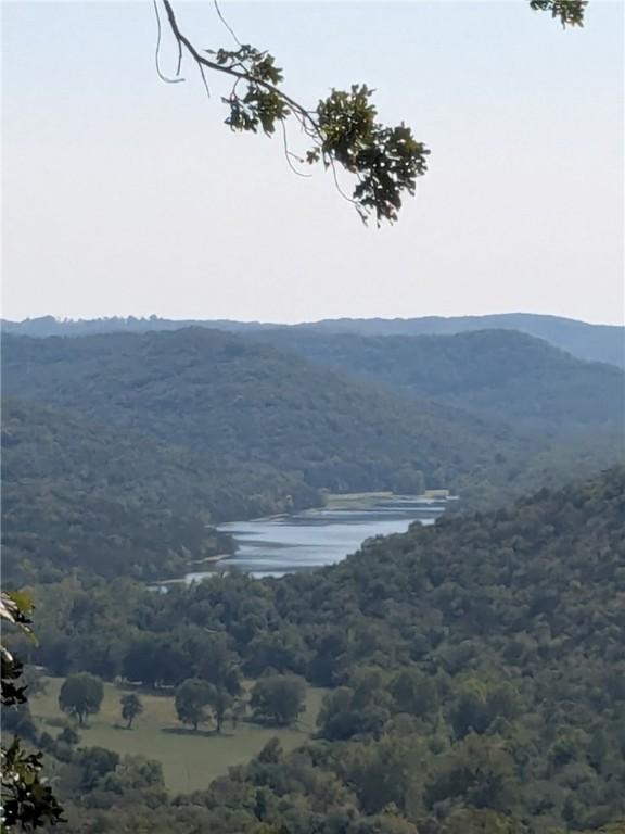 Image 2: Lake Leatherwood