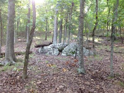 81, 82 Oak Leaf & 66, 67 Black Oak Drive