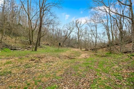 11499 (Tract 1) Sallie Drive