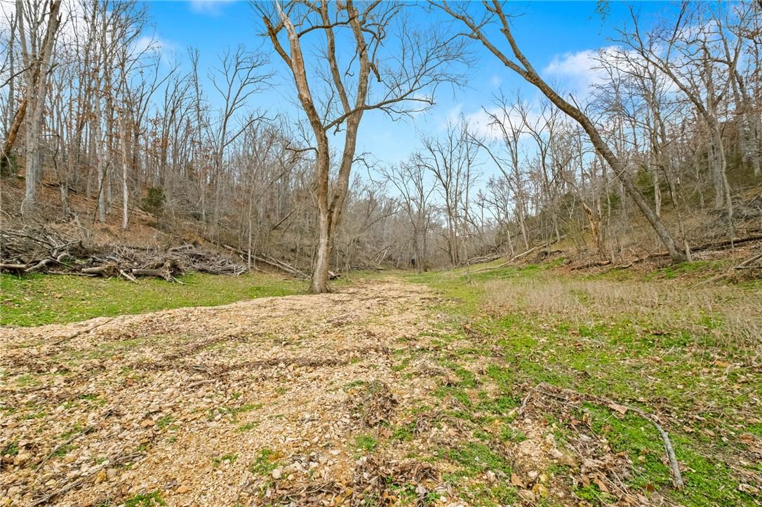 Image 4: View of yard