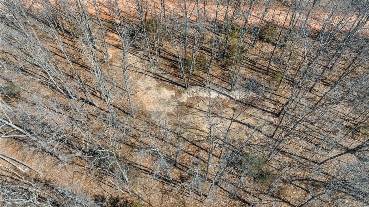 Image 3: Drone / aerial view