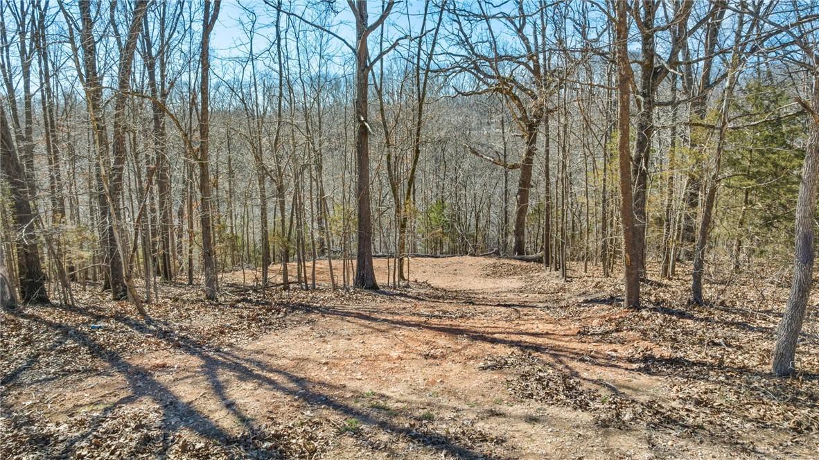 Image 4: View of woods