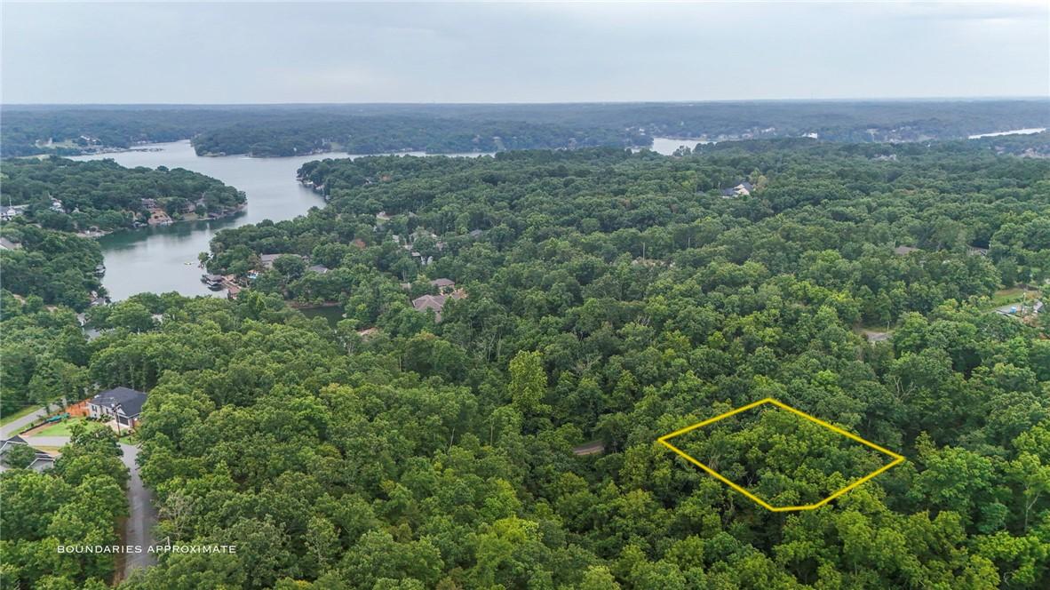 Image 2: Expansive wooded land parcel featuring a distinct