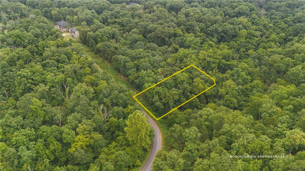 Image 3: Wooded lot with mature trees, featuring a curved a