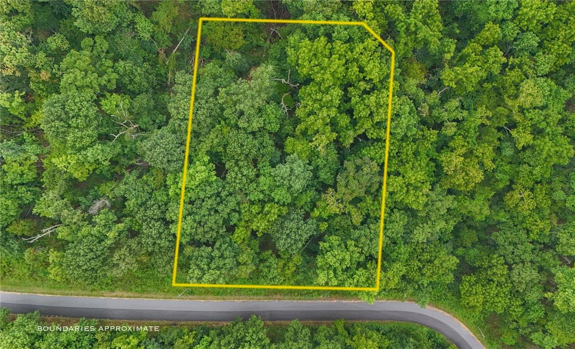 Image 4: Wooded lot featuring mature trees and paved road f