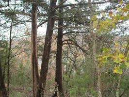 Lots 12, 13 Indian Creek  RD
