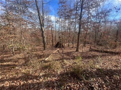 LOT 15 Orkney Circle