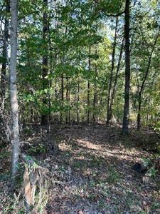 Lot 16, Block 2 Judy Drive