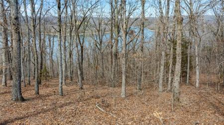 Lot 38 Co Rd 1520