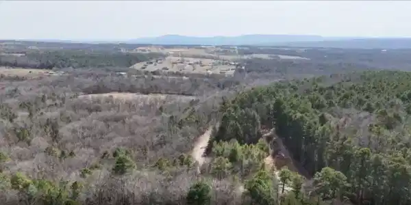 Whorton Mountain Road
