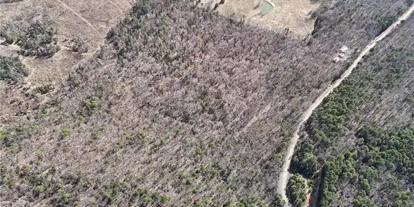 Image 2: View of rural area