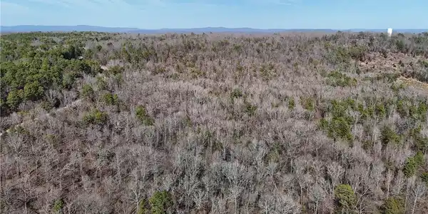 Image 3: Aerial view of a heavily wooded area and a mountai