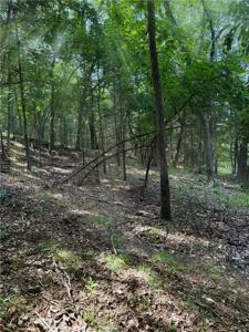 Lot 40 Pine Drive