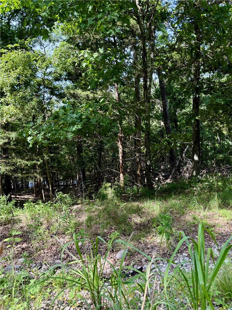 Image 2: Wooded lot featuring mature trees and natural vege
