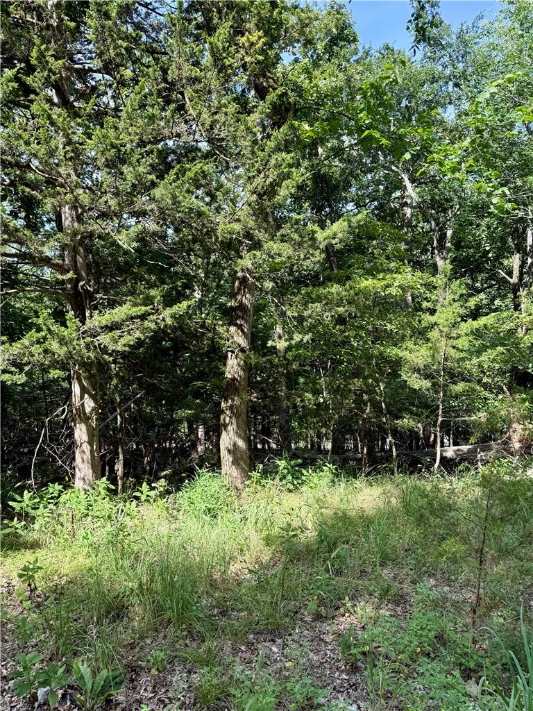Image 3: Wooded lot with mature trees and natural ground co