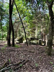 Lot 39 Pine Drive