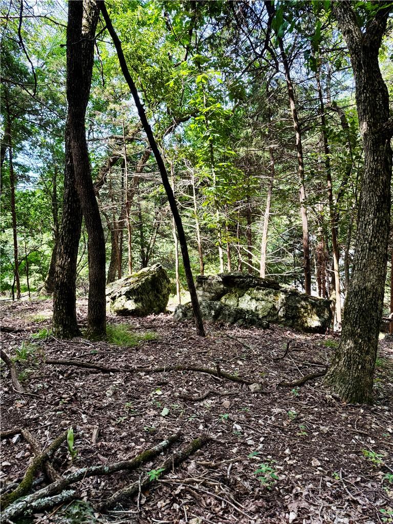 Image 1: Wooded land with mature trees and natural rock for